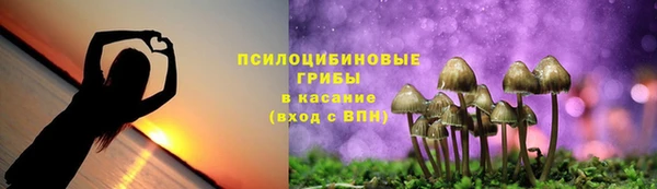первитин Вязьма