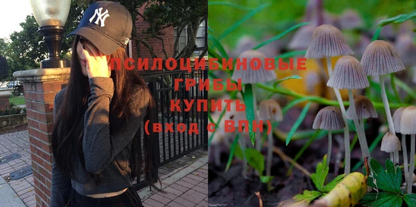первитин Вязьма