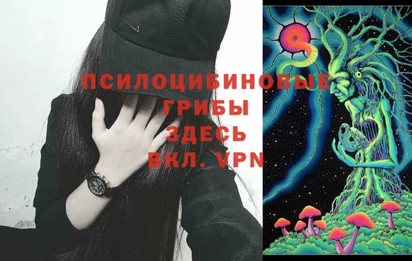 mdma Вяземский