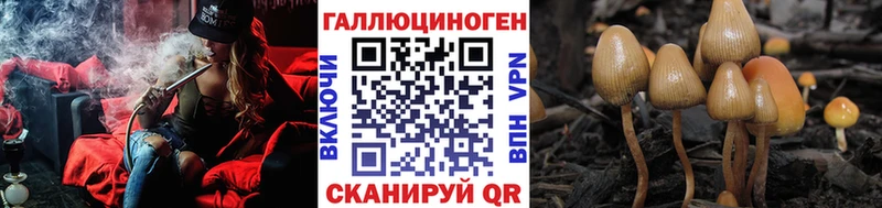 Псилоцибиновые грибы Magic Shrooms  купить наркотик  Маркс 